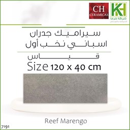 Show details for Spanish Matte decor wall tiles 120x40cm Reef Marengo Picture of Spanish Matte decor wall tiles 120x40cm Reef Marengo