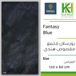 عرض تفاصيل بلاط بورسلان ملمع  60×120 سم هندي فانتزي بلو
 صورة بلاط بورسلان ملمع  60×120 سم هندي فانتزي بلو
