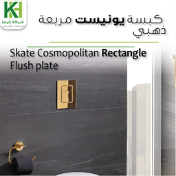 Show details for Grohe Skate Cosmopolitan Rectangle Flush plate Picture of Grohe Skate Cosmopolitan Rectangle Flush plate