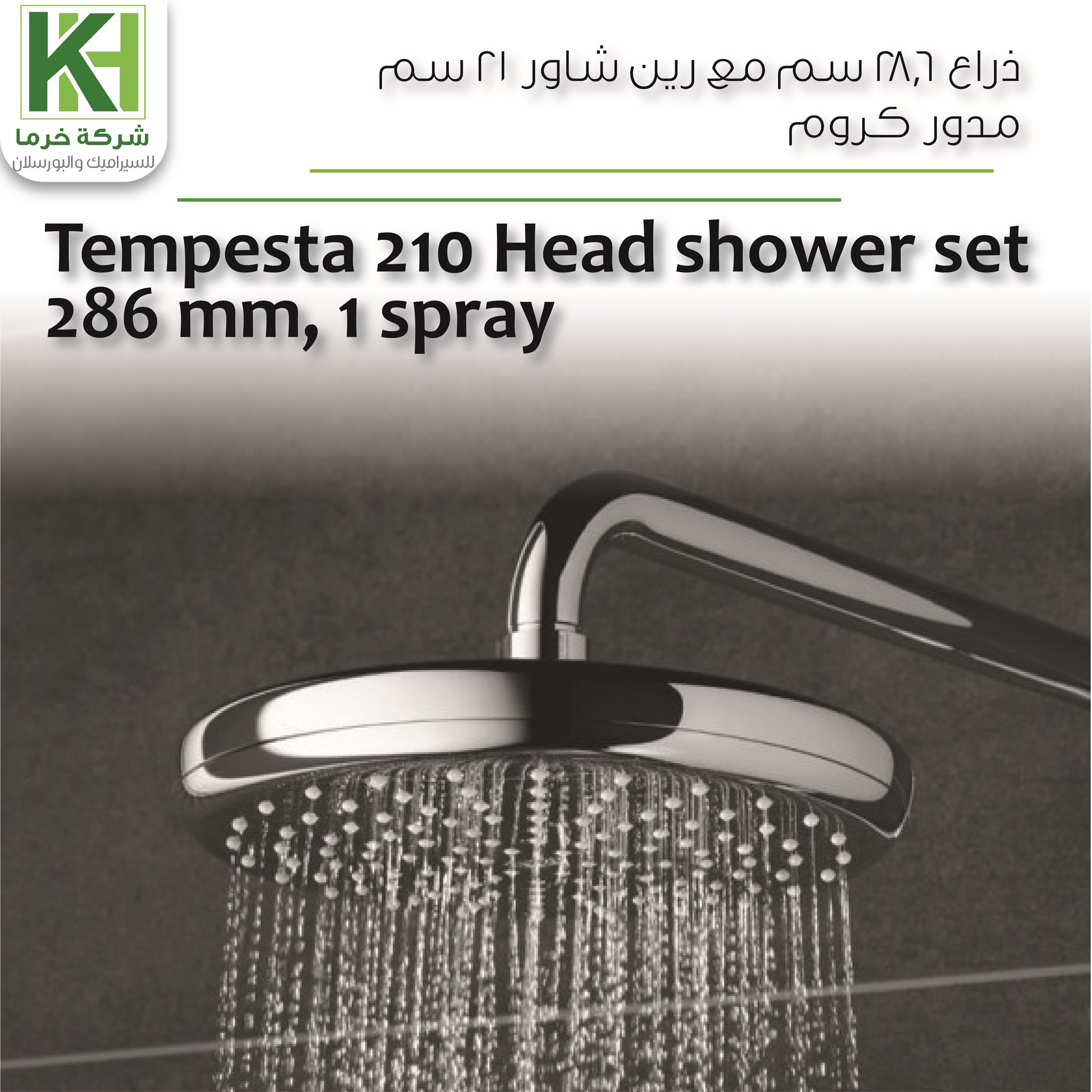 Picture of Grohe Tempesta 210 Head shower set 286 mm, 1 spray