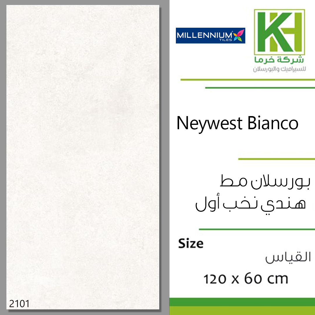 Picture of Indian Matt porcelain tile 60x120 cm Neywest Bianco