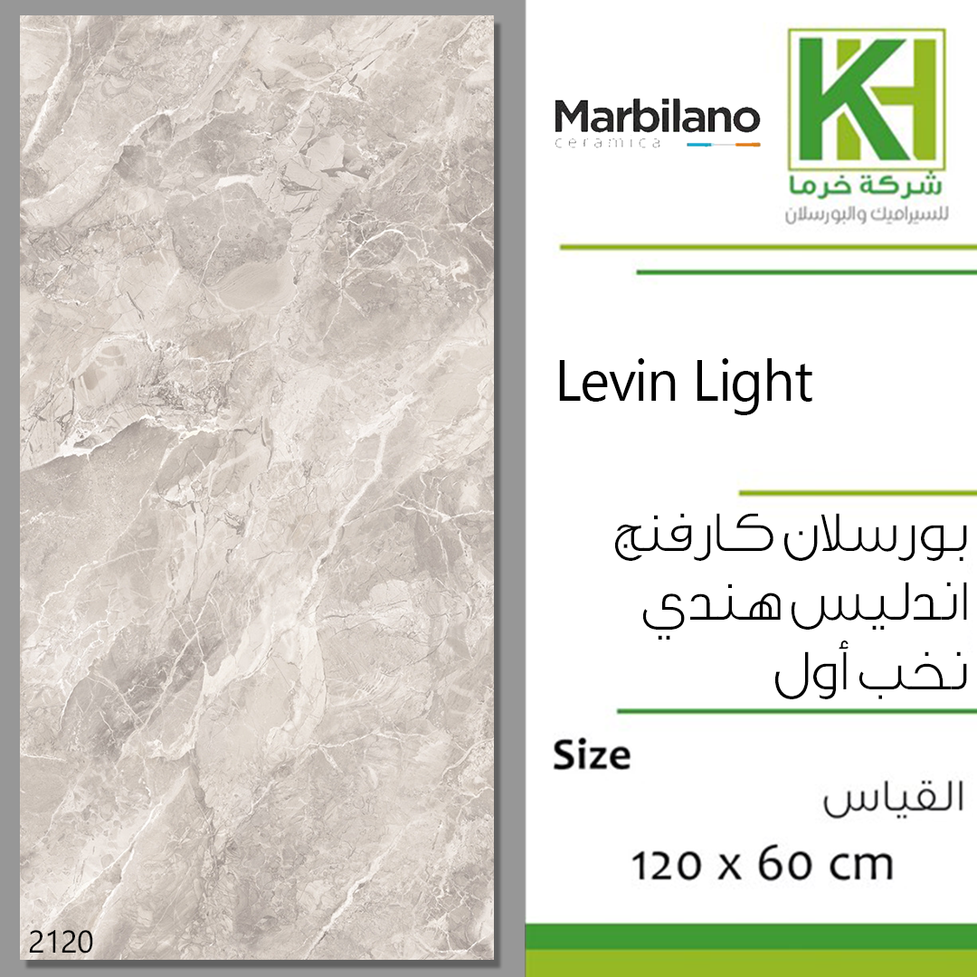 Picture of Indian Endless Carving Porcelain tile 60x120cm Levin Light