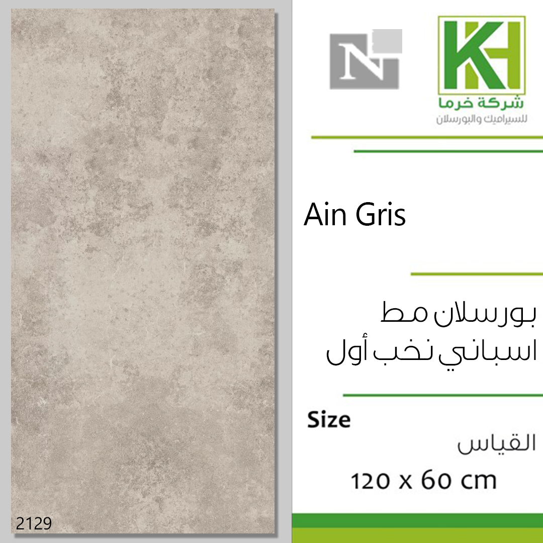 Picture of Spanish Porcelain Tile 120x60cm Ain Gres