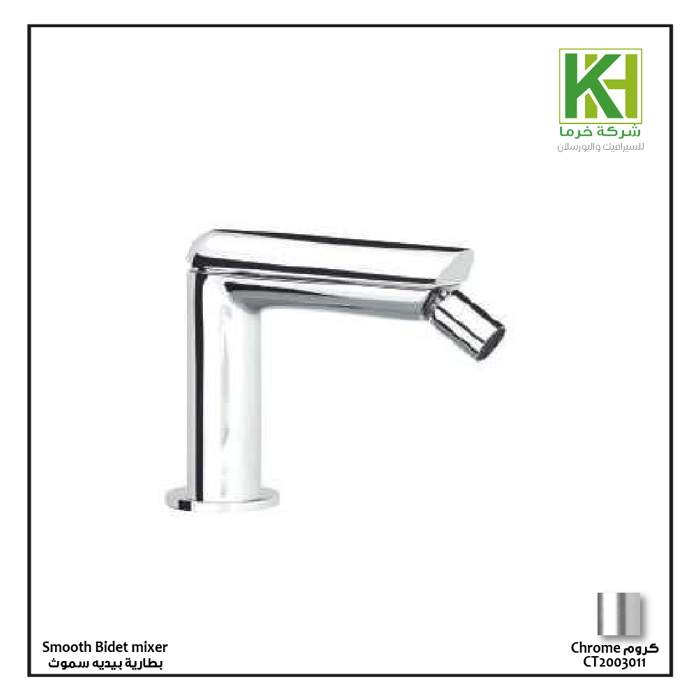 Picture of CTESI smooth bidet mixer