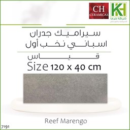 Picture of Spanish Matte decor wall tiles 120x40cm Reef Marengo
